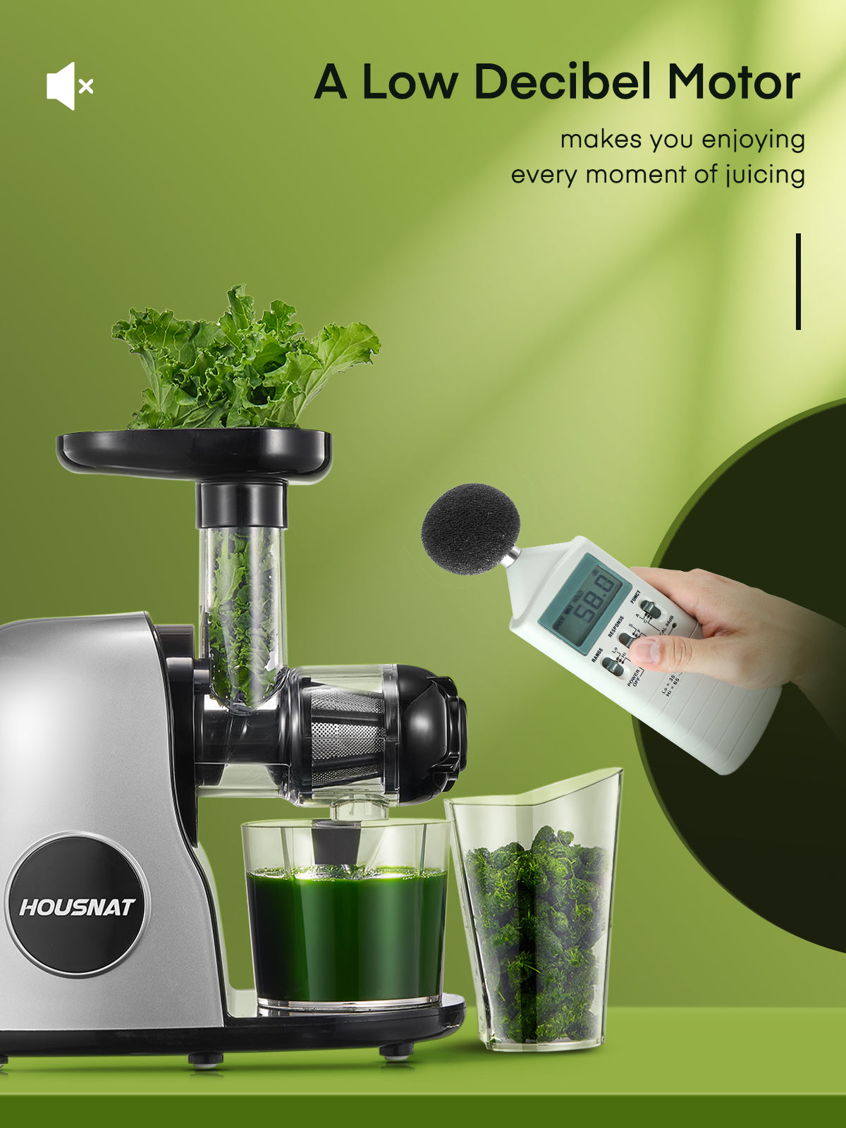 a low decibel motor, Juicer Machines, HOUSNAT Professional Celery Slow Masticating Juicer Extractor Easy to Clean, Cold Press Juicer with Quiet Motor and Reverse Function for Fruit & Vegetable, Brushes & Recipes Included, Grey