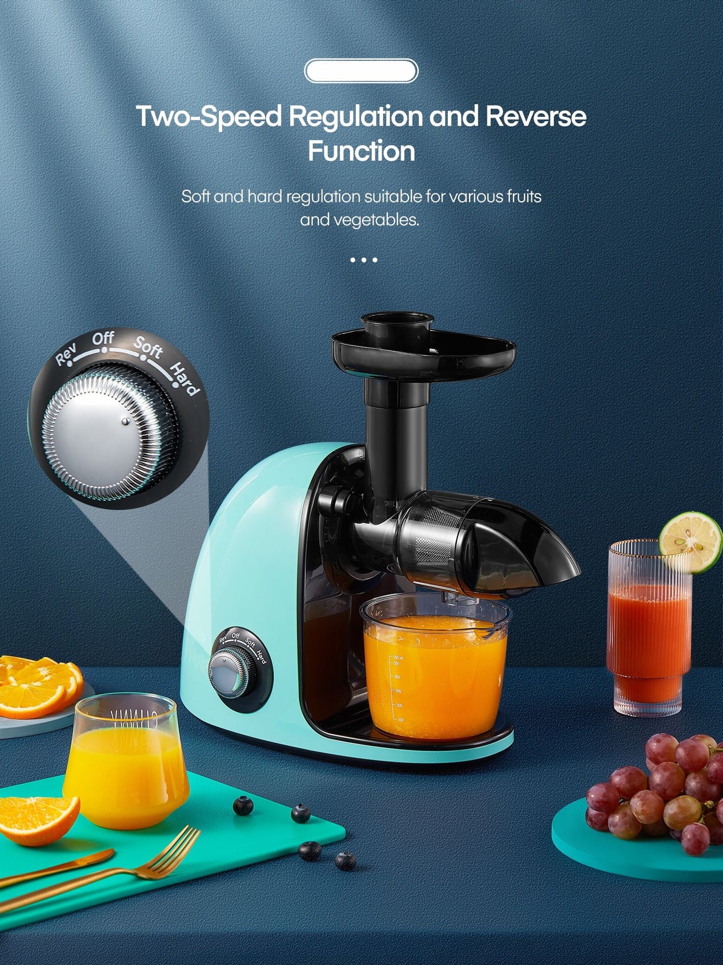 Juicer Machines Easy to Clean, HOUSNAT Slow Masticating Juicer with 2-Speed Modes, Cold Press Juicer Extractor for Fruits & Vegetables with Quiet Motor, Reverse Function, Recipes