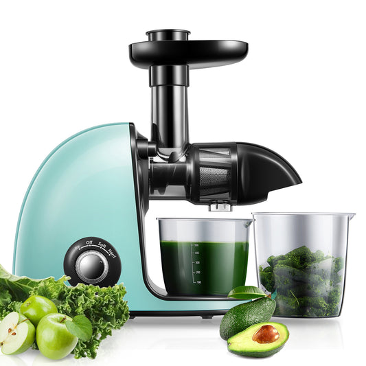 Juicer Machines Easy to Clean, HOUSNAT Slow Masticating Juicer with 2-Speed Modes, Cold Press Juicer Extractor for Fruits & Vegetables with Quiet Motor, Reverse Function, Recipes