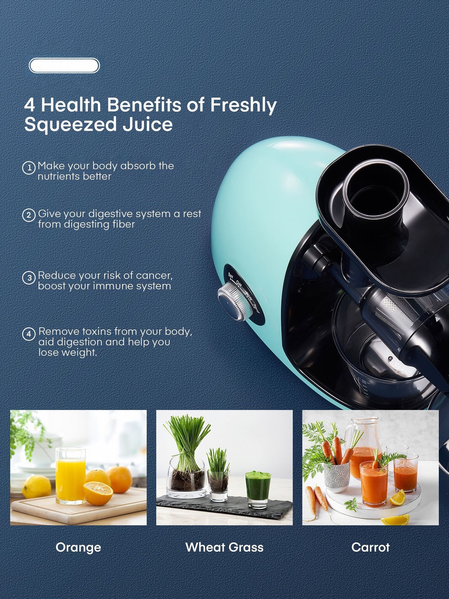 Juicer Machines Easy to Clean, HOUSNAT Slow Masticating Juicer with 2-Speed Modes, Cold Press Juicer Extractor for Fruits & Vegetables with Quiet Motor, Reverse Function, Recipes