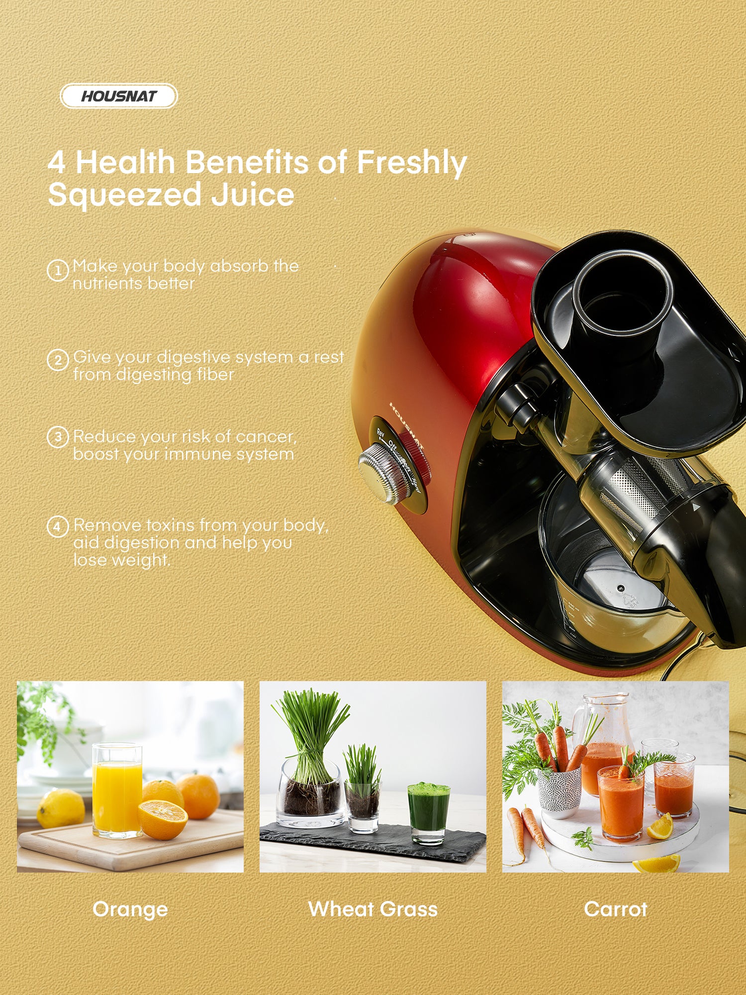4 health benefits of friendly squeezed juice, Juicer Machines Easy to Clean, HOUSNAT Slow Masticating Juicer with 2-Speed Modes, Cold Press Juicer Extractor for Fruits & Vegetables with Quiet Motor, Reverse Function, Recipes (Passion Red)