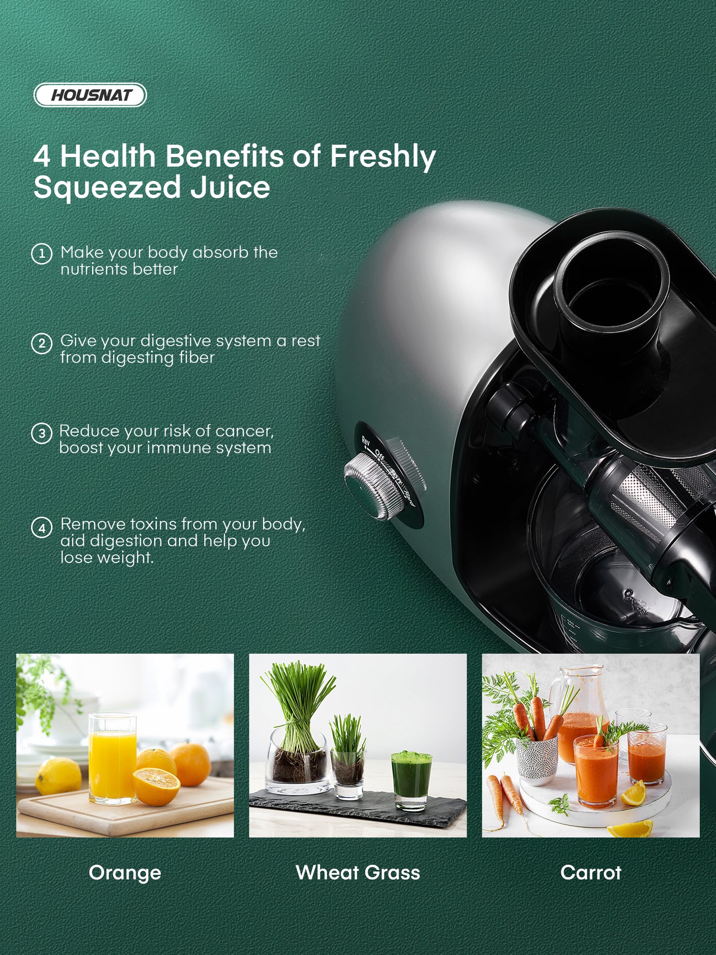 Slow Juicer Machine for Fruits & Vegetables, HOUSNAT Slow Masticating Juicer with Quiet Motor & Reverse Function, Easy to Clean, Cold Press Juice Extractor with 2-Speed Modes, Recipes (Silver Knight)